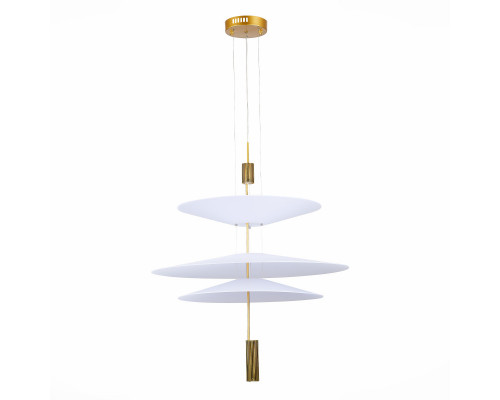 Сделать заказ Подвесной светильник ST-Luce SL6101.223.01| VIVID-LIGHT.RU