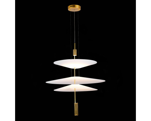 Сделать заказ Подвесной светильник ST-Luce SL6101.223.01| VIVID-LIGHT.RU