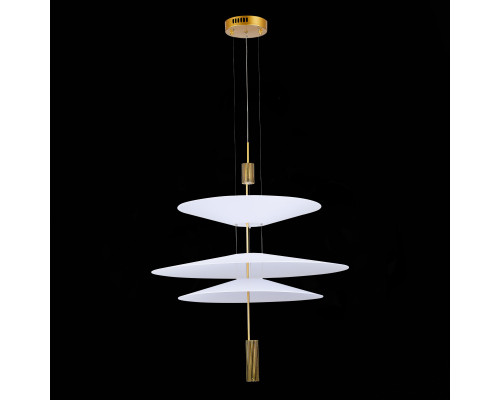 Сделать заказ Подвесной светильник ST-Luce SL6101.223.01| VIVID-LIGHT.RU