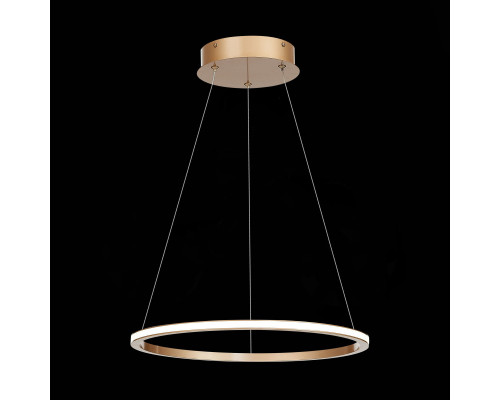 Купить Подвесной светильник ST-Luce ST604.243.22| VIVID-LIGHT.RU