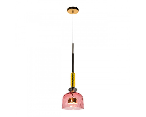 Сделать заказ Подвесной светильник LOFT IT 2008-D| VIVID-LIGHT.RU