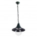 Оформить заказ Подвесной светильник ARTE Lamp A1085SO-1BG| VIVID-LIGHT.RU
