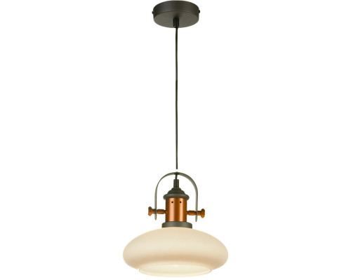 Купить Подвесной светильник LOFT LSP-9845| VIVID-LIGHT.RU