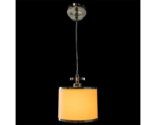 Купить Подвесной светильник ARTE Lamp A3990SP-1CC| VIVID-LIGHT.RU