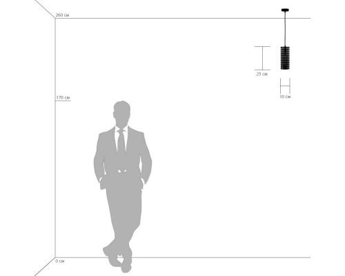 Сделать заказ Подвесной светильник Lightstar 795322| VIVID-LIGHT.RU