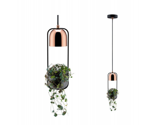 Сделать заказ Подвесной светильник Paulmann 79749| VIVID-LIGHT.RU