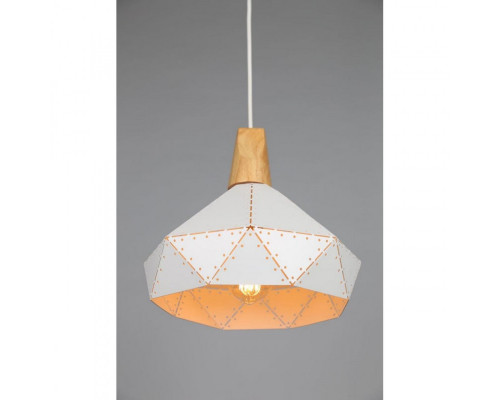 Сделать заказ Подвесной светильник Omnilux OML-90316-01| VIVID-LIGHT.RU