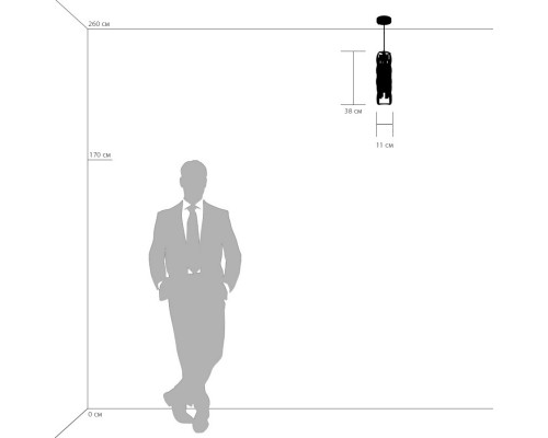 Купить Подвесной светильник Lightstar 722030| VIVID-LIGHT.RU