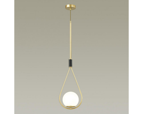 Заказать Подвесной светильник Odeon Light 4810/1| VIVID-LIGHT.RU