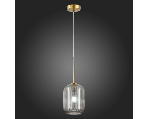 Сделать заказ Подвесной светильник ST-Luce SL1154.323.01| VIVID-LIGHT.RU