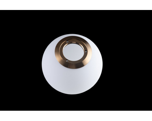 Купить Подвесной светильник LOFT IT LOFT2595-A| VIVID-LIGHT.RU