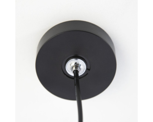 Оформить заказ Подвесной светильник Citilux CL01PB121N| VIVID-LIGHT.RU