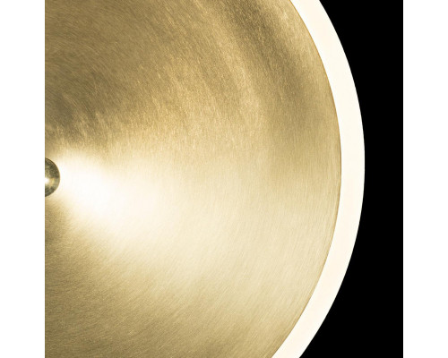 Оформить заказ Подвесной светильник LOFT IT 10035/300| VIVID-LIGHT.RU