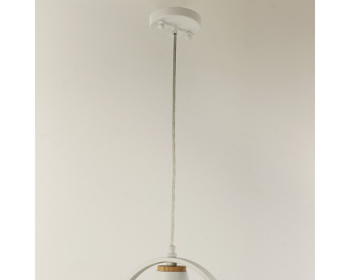 Заказать Подвесной светильник F-Promo 2939-1P| VIVID-LIGHT.RU