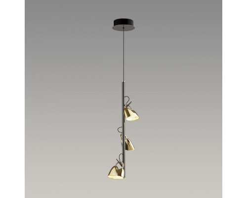 Заказать Подвесной светильник Odeon Light 5002/13L| VIVID-LIGHT.RU