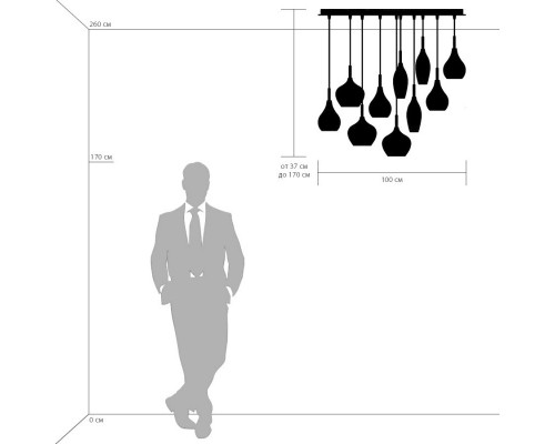 Заказать Подвесной светильник Lightstar 803120| VIVID-LIGHT.RU