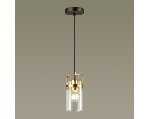 Купить Подвесной светильник Odeon Light 4653/1| VIVID-LIGHT.RU