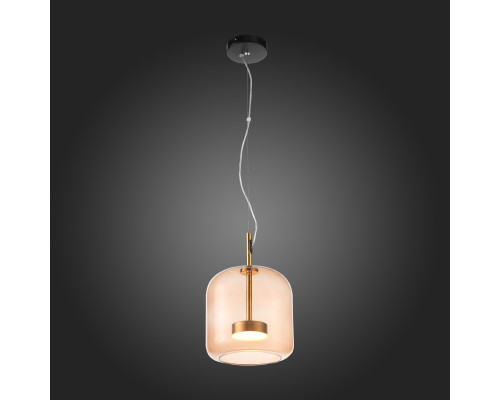 Заказать Подвесной светильник ST-Luce SL1053.273.01| VIVID-LIGHT.RU