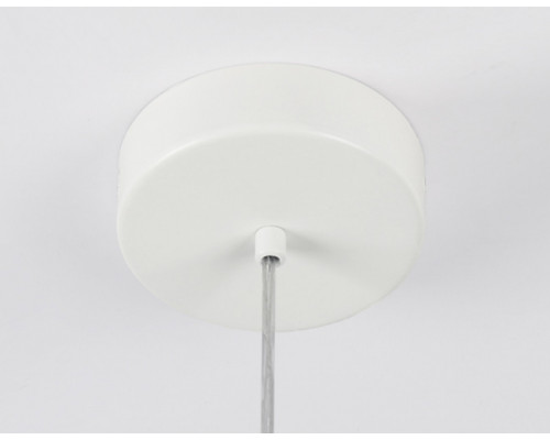 Заказать Подвесной светильник Ambrella Light TR5042| VIVID-LIGHT.RU