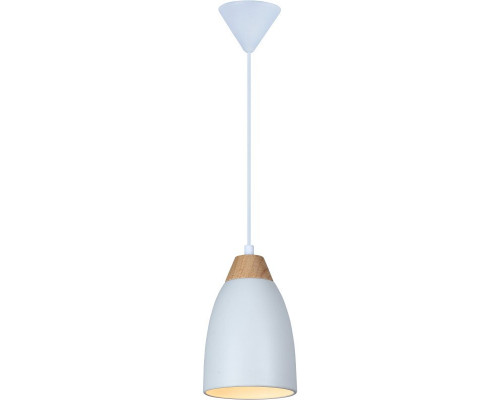 Сделать заказ Подвесной светильник TOPLIGHT TL0724H-2W| VIVID-LIGHT.RU