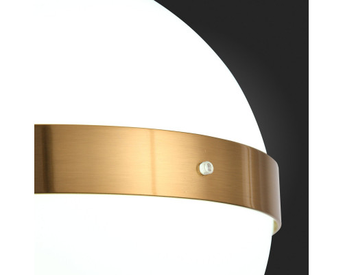 Купить Подвесной светильник ST-Luce SL1157.303.01| VIVID-LIGHT.RU