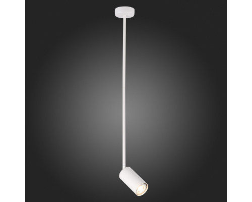 Сделать заказ Подвесной светильник ST-Luce SL1206.503.01| VIVID-LIGHT.RU