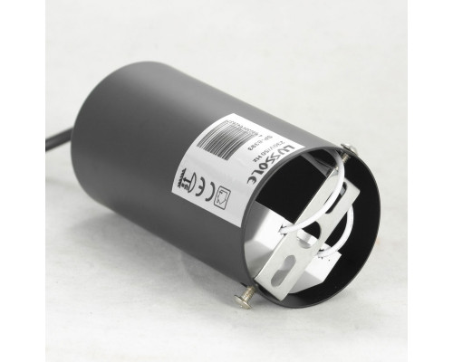 Оформить заказ Подвесной светильник LOFT LSP-8393| VIVID-LIGHT.RU