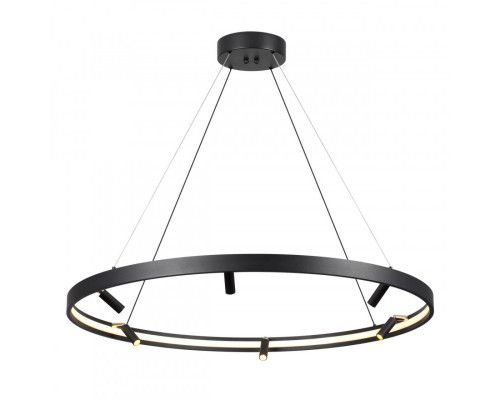 Сделать заказ Подвесной светильник Odeon Light 4317/93L| VIVID-LIGHT.RU
