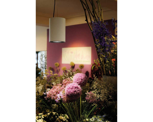 Купить Подвесной светильник SLV 133101| VIVID-LIGHT.RU