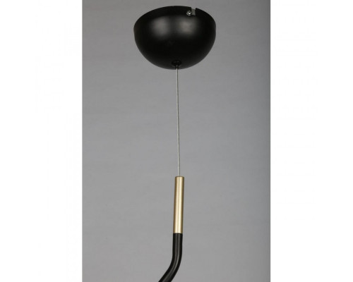 Оформить заказ Подвесной светильник Omnilux OML-28216-01| VIVID-LIGHT.RU