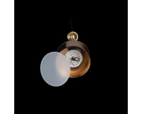 Сделать заказ Подвесной светильник LOFT IT 2028-P1| VIVID-LIGHT.RU