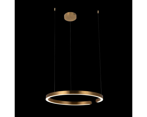 Купить Подвесной светильник LOFT IT 10013L| VIVID-LIGHT.RU