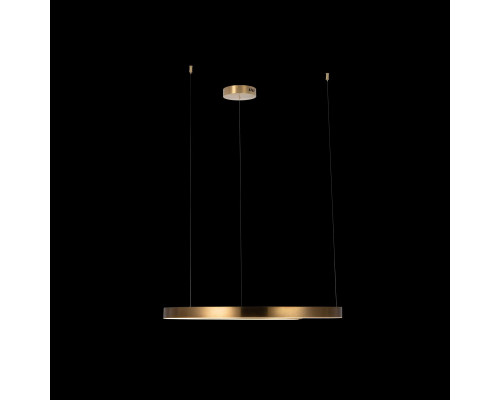 Купить Подвесной светильник LOFT IT 10013L| VIVID-LIGHT.RU