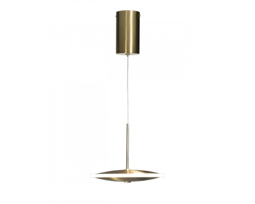 Сделать заказ Подвесной светильник LOFT IT 10036/200| VIVID-LIGHT.RU