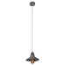 Купить Подвесной светильник ARTE Lamp A5067SP-1GY| VIVID-LIGHT.RU