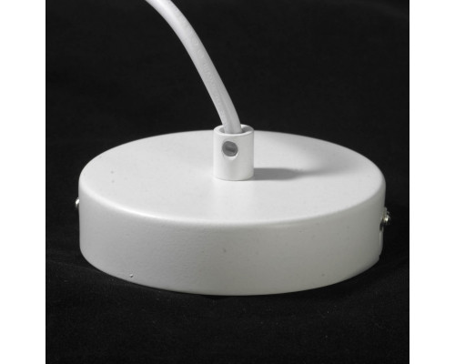 Заказать Подвесной светильник LGO LSP-9977| VIVID-LIGHT.RU