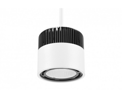 Купить Подвесной светильник Cosmo 20055-30| VIVID-LIGHT.RU