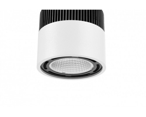 Купить Подвесной светильник Cosmo 20055-30| VIVID-LIGHT.RU