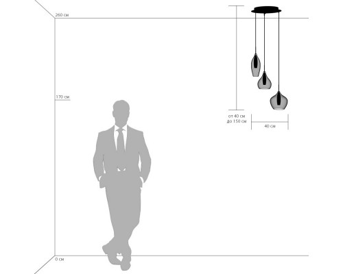 Заказать Подвесной светильник Lightstar 803050| VIVID-LIGHT.RU