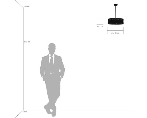 Заказать Подвесной светильник Lightstar 746048| VIVID-LIGHT.RU