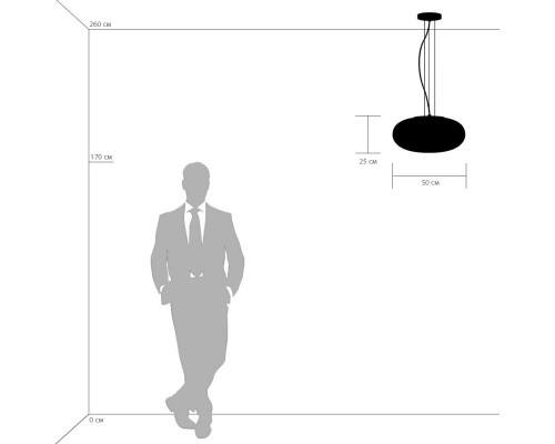 Сделать заказ Подвесной светильник Lightstar 801040| VIVID-LIGHT.RU