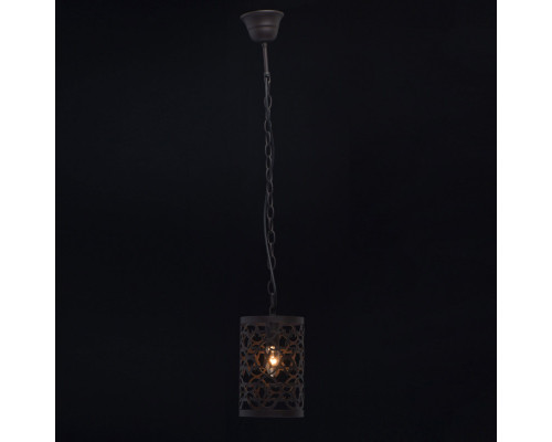 Сделать заказ Подвесной светильник MW-Light 249018101| VIVID-LIGHT.RU