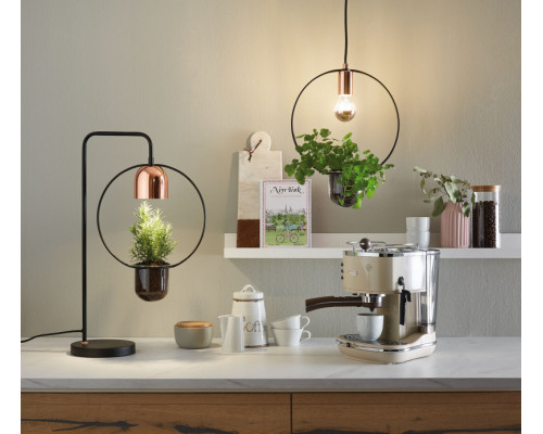 Сделать заказ Подвесной светильник Paulmann 79748| VIVID-LIGHT.RU