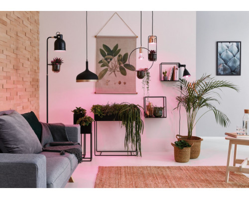 Сделать заказ Подвесной светильник Paulmann 79748| VIVID-LIGHT.RU