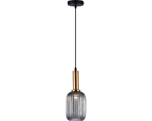 Заказать Подвесной светильник TOPLIGHT TL1221H-01SM| VIVID-LIGHT.RU