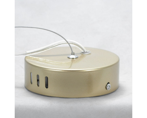 Оформить заказ Подвесной светильник LOFT LSP-8358| VIVID-LIGHT.RU