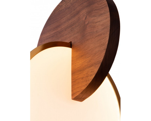 Сделать заказ Подвесной светильник LOFT IT 9970C| VIVID-LIGHT.RU