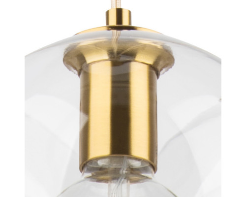 Купить Подвесной светильник Lightstar 729031| VIVID-LIGHT.RU