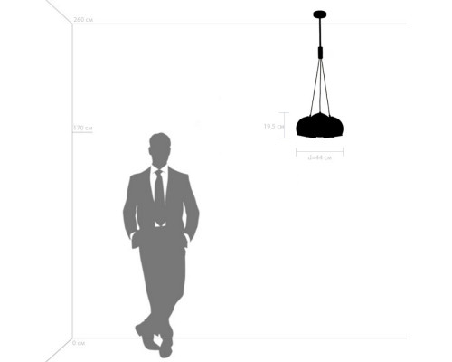 Купить Подвесной светильник Lightstar 729031| VIVID-LIGHT.RU