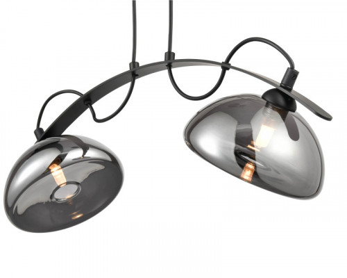 Заказать Подвесной светильник Vele Luce VL5462P22| VIVID-LIGHT.RU